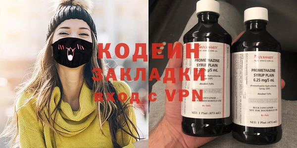 прущие грибы Ачинск